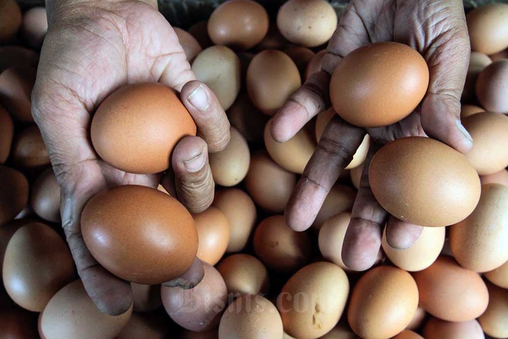 Harga Pangan Hari Ini 13 Mei: Harga Gula dan Telur Kompak Naik