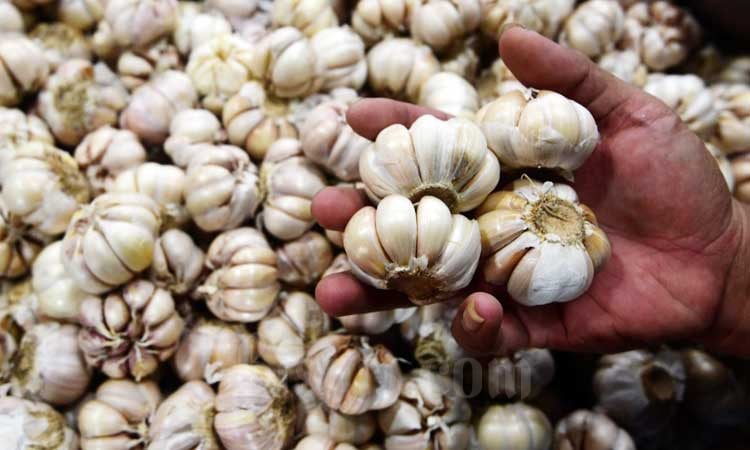 Harga Pangan Hari Ini 15 Mei: Cabai, Bawang Putih dan Gula Melonjak