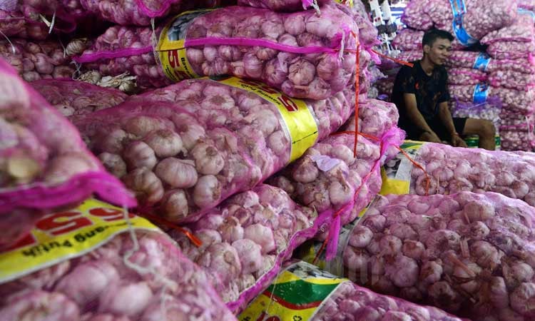 Importasi Terbelit Regulasi, Stok Bawang Putih Rawan Kritis