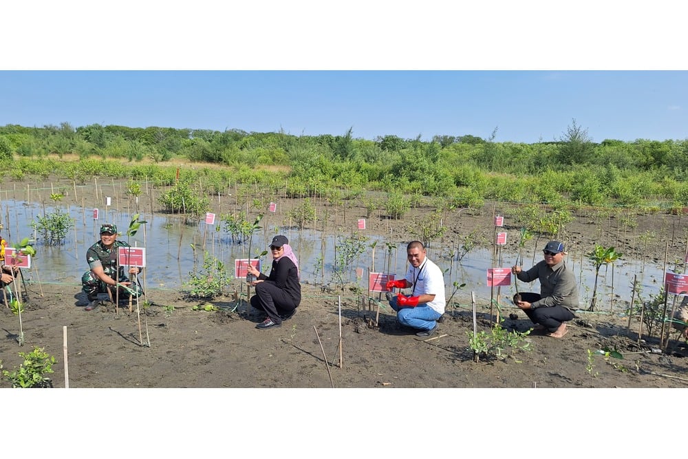 PNM Peduli Serahkan Sumur Bor dan Tanam Mangrove di Indramayu