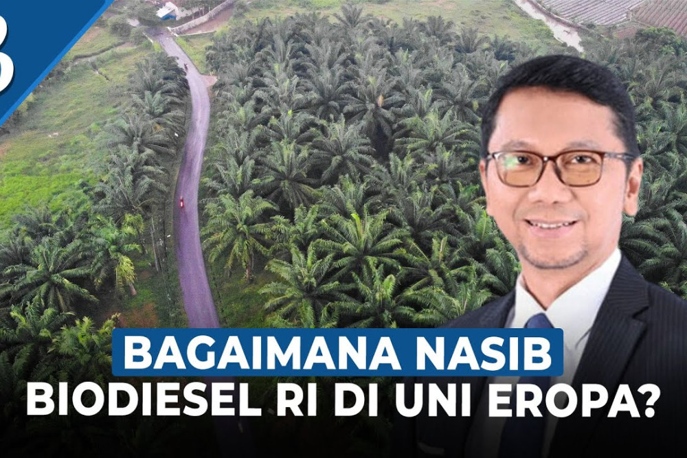 Tantangan Pemerintah Indonesia Hadapi Sengketa Biodiesel di WTO