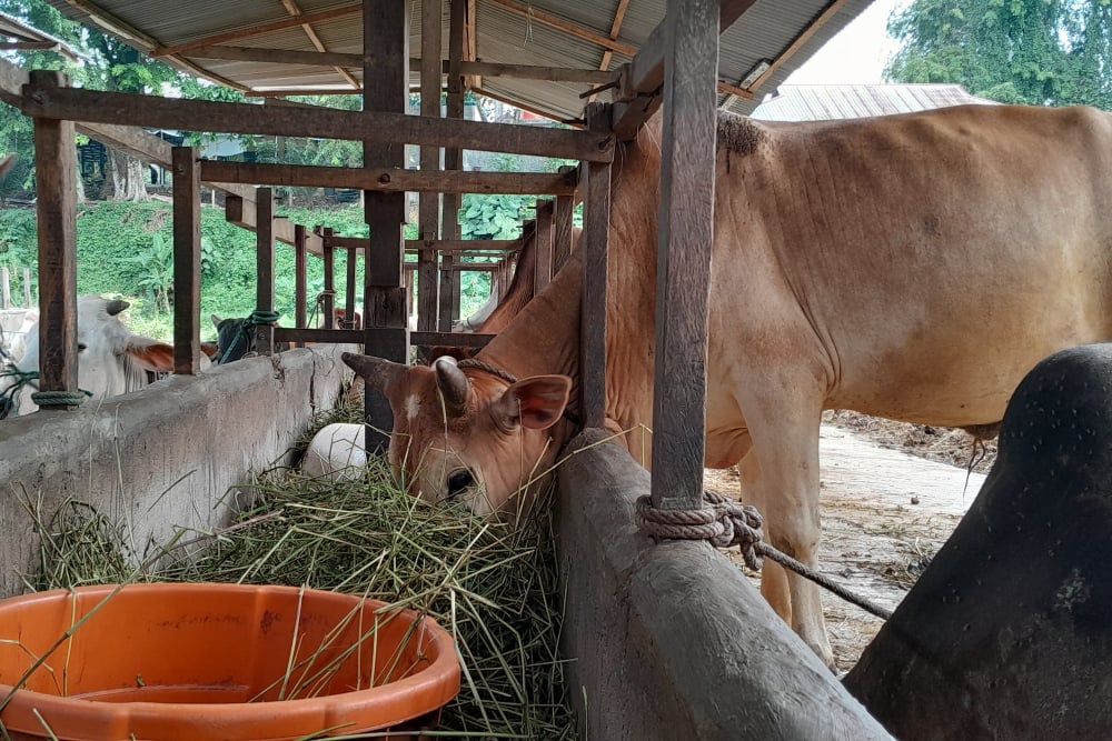 8 Manfaat Tulang Sumsum yang Jarang Diketahui