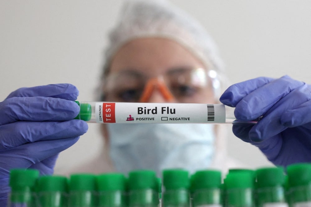 Cegah Penularan Flu Burung, Kemenkes RI Tingkatkan Surveilans
