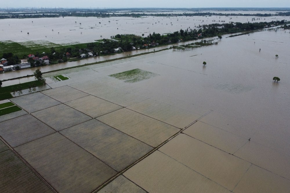 Ini Dampak Paling Buruk Bagi Petani saat La Nina Datangi Indonesia