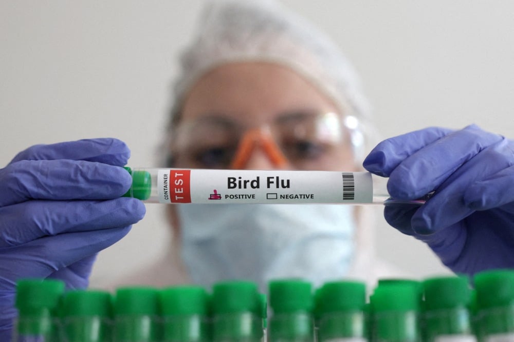 Kasus Flu Burung di India, Simak Cara Pencegahan Bagi Masyarakat