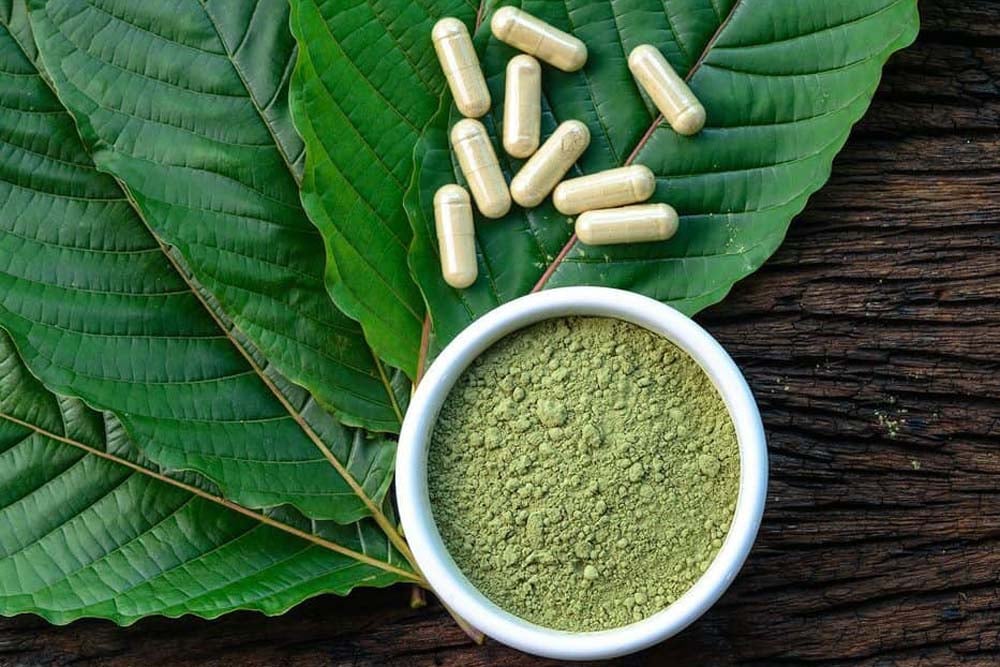 Mengenal Daun Kratom, 'Narkoba' yang Dibahas Jokowi: Asal dan Daerah Penghasil