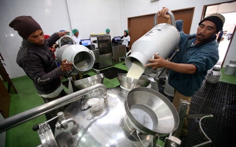 Produksi Pengolahan Susu Sentuh 4,64 Juta Ton Mei 2024, RI Pasok 20% Bahan Baku