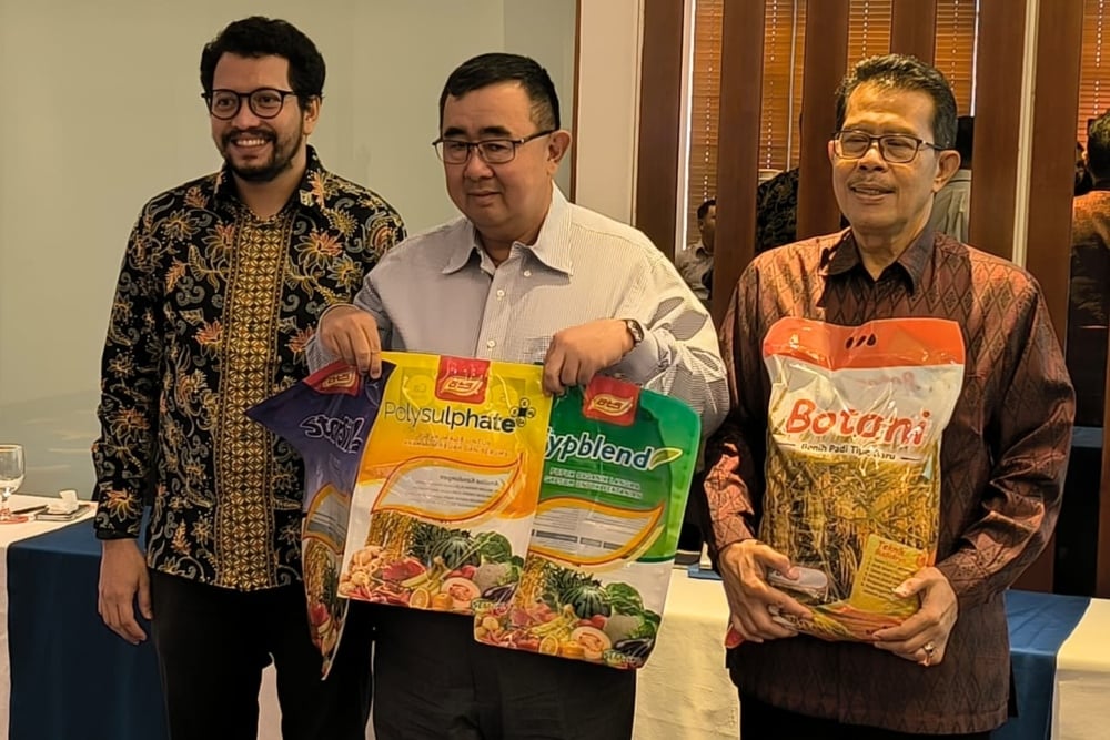 Strategi Pertanian Padi-Jagung Hadapi Perubahan Iklim