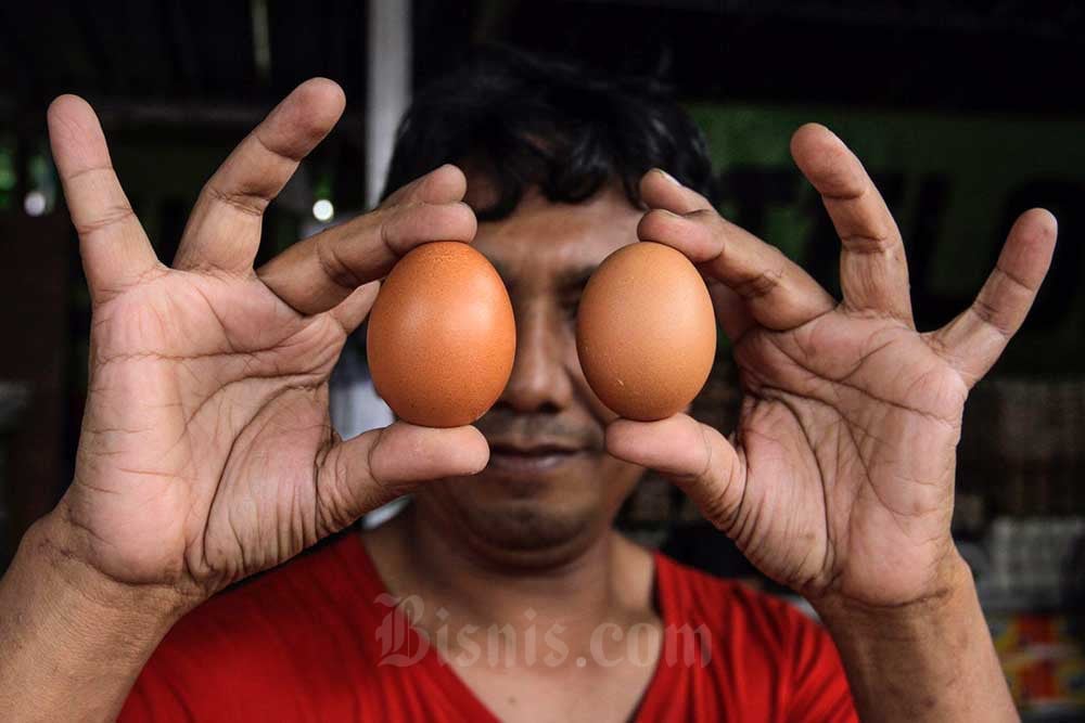 Harga Pangan Hari Ini 19 Juli: Telur Dekati Rp30.000/Kg, Beras dan Cabai Naik