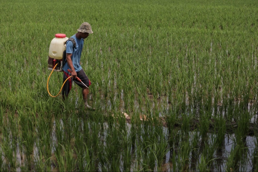 Marak Pupuk Subsidi Dijual di Atas HET, Kemendag Ungkap Biang Keroknya