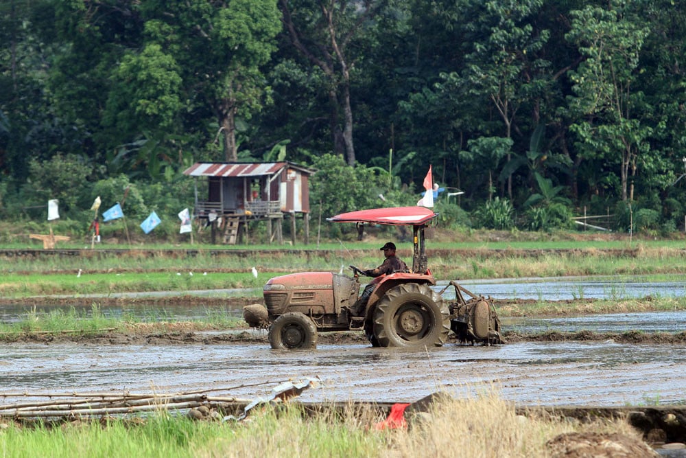 Produksi Padi Kian Melorot, RI Was-Was Dampak Konversi Lahan