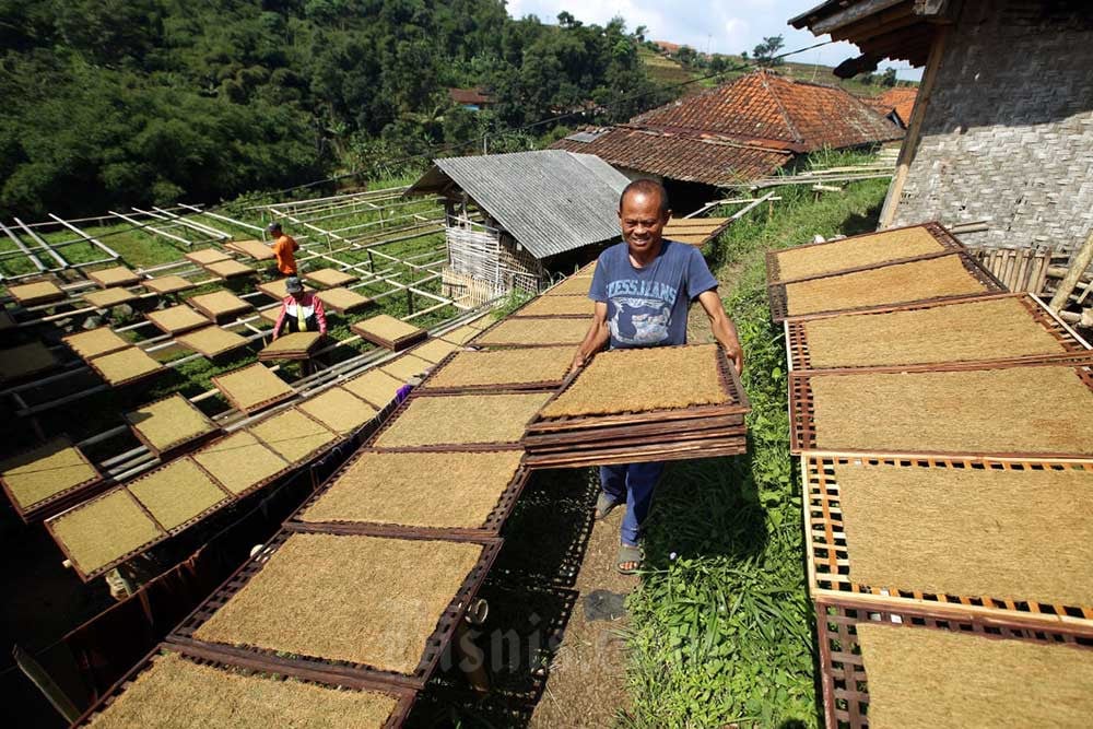 Ekonom Sebut Risiko PP Kesehatan Senggol Industri Padat Karya