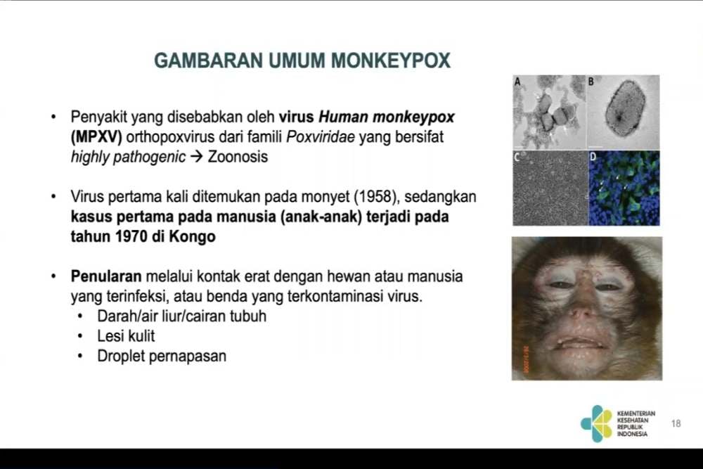 Fakta-fakta Penting Mpox Alias Cacar Monyet, Bisakah Jadi Pandemi?