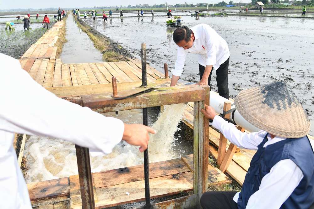 Jelang Jokowi Lengser, Bagaimana Nasib Swasembada Pangan?