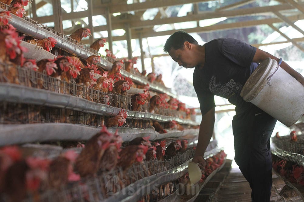 Makanan yang Pantang Dikonsumsi Mentah! Berikut Alasannya