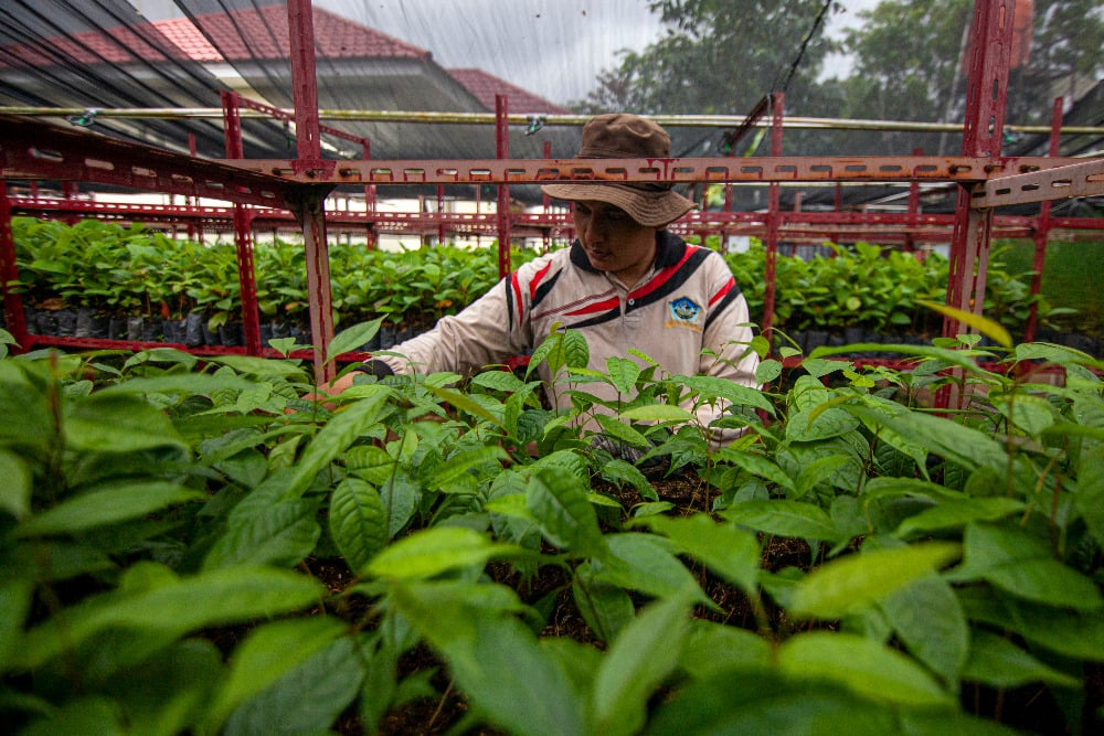 Kisi-Kisi Usaha Sosial yang Dilirik Investor: Bukan Sekadar Kejar-kejaran Profit