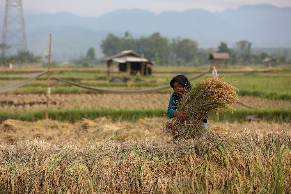 Miris! RI Negara Agraris, tapi Pendapatan Petani Hanya Rp5 Jutaan per Tahun