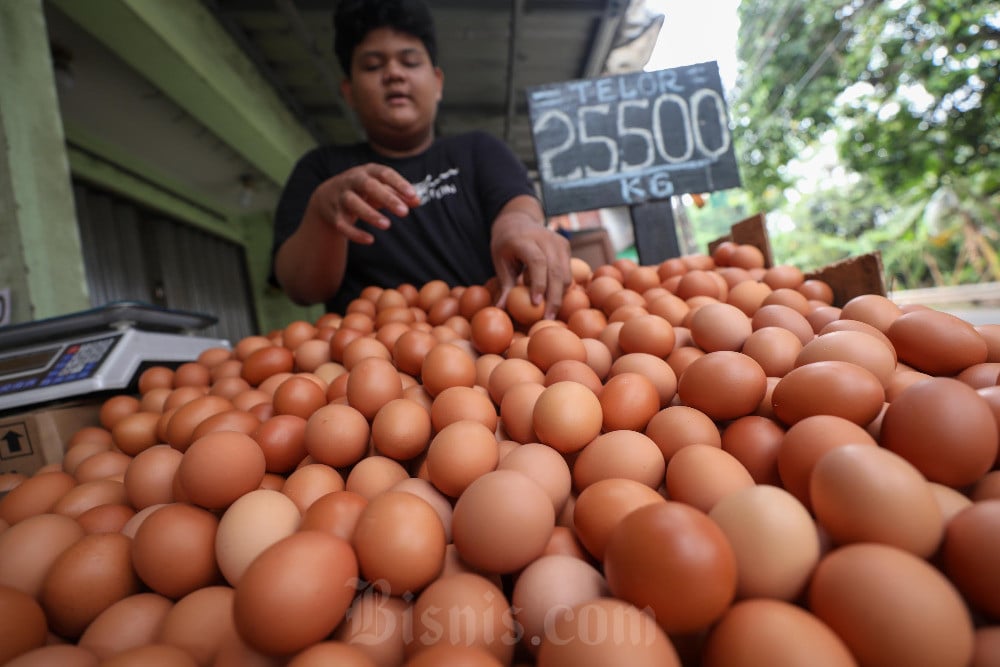 6 Telur yang Bisa Dikonsumsi Selain Telur Ayam