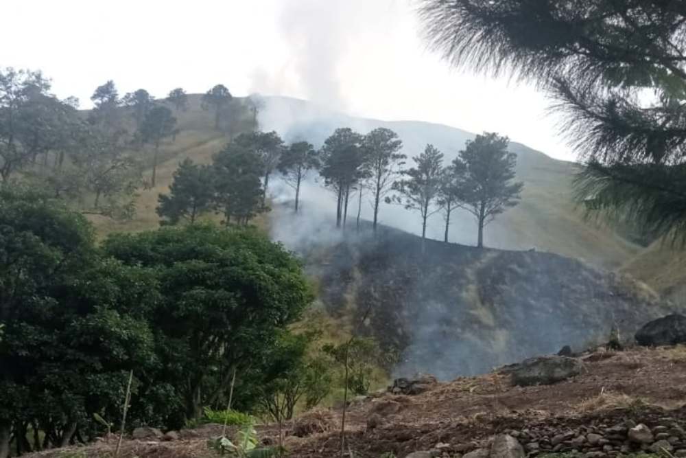 Eropa Goyah Menghadapi Pemberlakuan Undang-Undang Anti Deforestasi