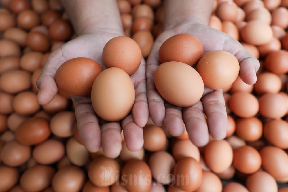 Harga Pangan Hari Ini 18 Oktober: Harga Beras & Telur Ayam Melambung