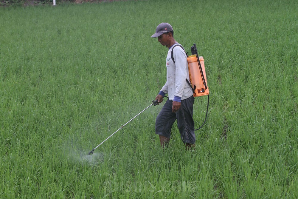 Program Makan Bergizi Gratis Prabowo Dipacu, Jumlah Petani Diramal Bertambah