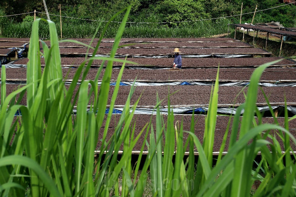 5 Manfaat Berkebun Bagi Kesehatan Mental