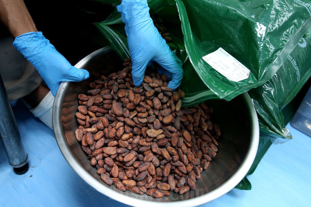 Secangkir Cokelat Panas dapat Melawan Stress